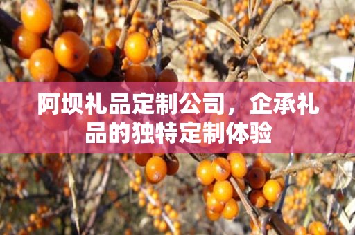 阿坝礼品定制公司，企承礼品的独特定制体验