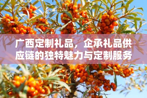 广西定制礼品，企承礼品供应链的独特魅力与定制服务