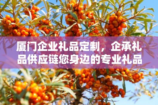厦门企业礼品定制，企承礼品供应链您身边的专业礼品定制公司