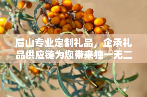 眉山专业定制礼品，企承礼品供应链为您带来独一无二的礼品体验